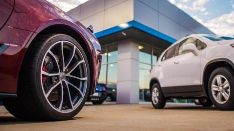 43 Nerenin Plakası? 43 Plaka Kodu Hangi Şehrin? 43 Hangi İlimize Ait?