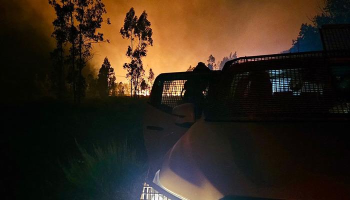 Okullar bile tatil edildi! Şili’de orman yangını: 2 bin kişi tahliye edildi