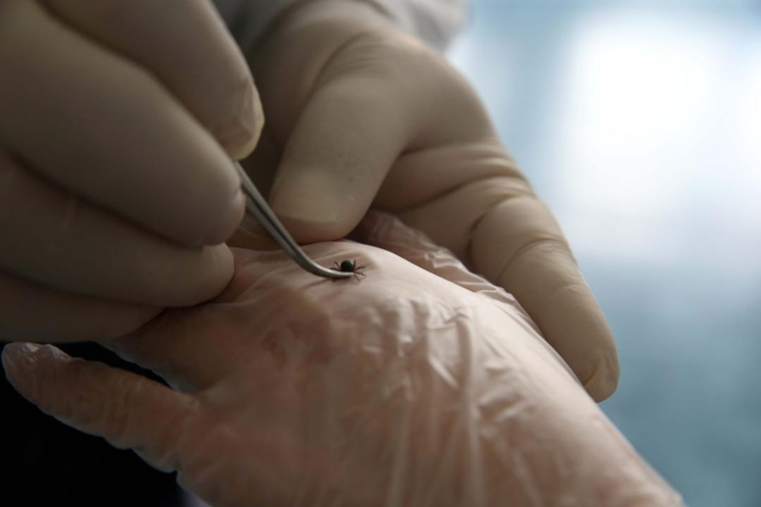 2022_haziran_aa-28123822