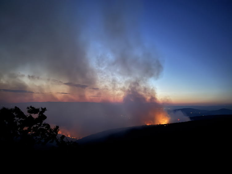 Sakarya ve Bilekik'e yangınlar müdahale edildi