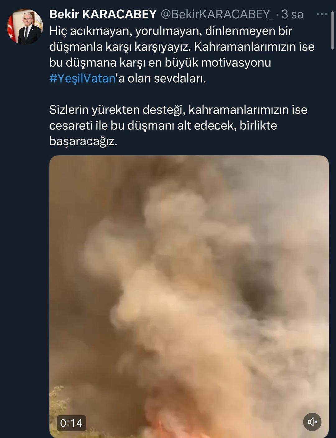 Sakarya'da Şaşırtıcı Ateş Görüntüsü! Alevler resmen bir tüp yarattı 3