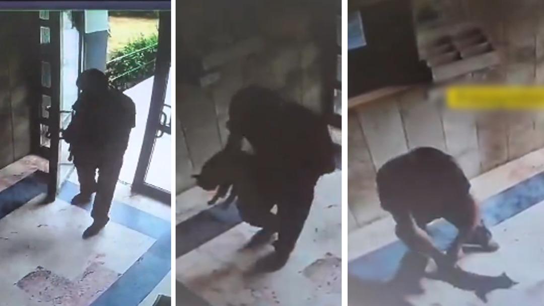 Daşakşağhir'de Kan Dondurucu Olay: Kediyi acımasızca öldürdü! İfade ortaya çıktı: 